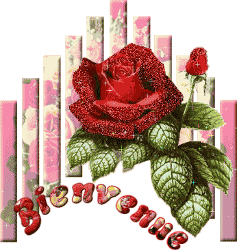 bienvenue sur mon bloug 